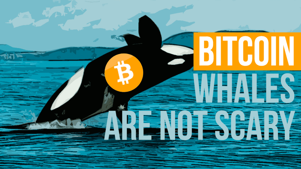 bitcoin whale